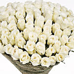 75 Elegant White Roses Bouquet