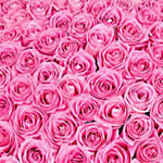 100 Delicate Pink Roses Bunch