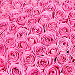 150 Delicate Pink Roses Bunch