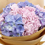 Pink & Purple Hydrangeas Bunch- Premium