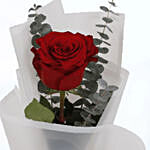 Single Red Rose White Wrap & Godiva Chocolates