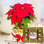 Red Poinsettia Plant & Ferrero Rocher Chocolates