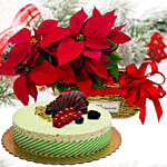 Red Poinsettia Plant With Kifaya Cake