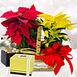 Red & Yellow Poinsettia Plant Combo