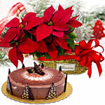 Two Red Poinsettia Plants With Cappuccino Cake