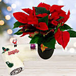 Red Poinsettia Plant with Vanilla Cake