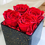 Infinite Roses Classical Decor