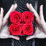 Infinite Roses Classical Decor