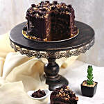 Eggless Chocolate Hazelnut Cake