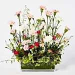 Exclusive Mixed Carnations Glass Vase Arrangement