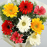 Mixed Brilliance Gerbera Blossoms