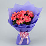 Passionate Pink Gerberas Bouquet