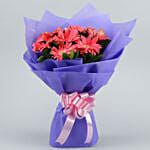 Passionate Pink Gerberas Bouquet