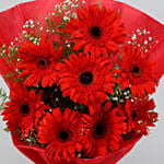 Red Elegance Gerbera Blossoms