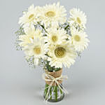 Serene White Gerbera Vase