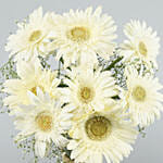 Serene White Gerbera Vase