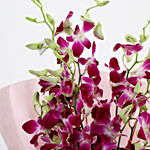 Splendid Purple Orchids Bunch
