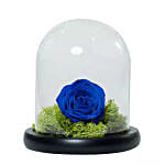 Elegant Blue Rose