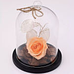 Peach Forever Rose In Glass Dome