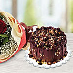 Crunchy Chocolate Hazelnut Half Kg Cake & Red Roses