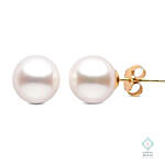 Pearl Silver Earring Gold Color