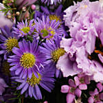 Splendid Mixed Flowers White Vase