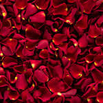 Rose Petals