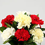 Mixed Carnations In White Mug