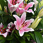 Long Lilies Bouquet With Chocolate Cake