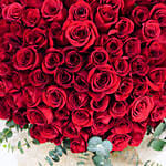 100 Red Roses Grand Expressions