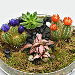 Holy Ramadan Plant Gift Tray