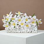 Tulips Arrangement