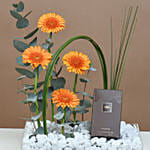 Orange Gerberas with Perfume