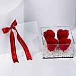 Luxurious Velvet Red Forever Roses