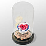 England Flag Forever Rose in Glass Dome