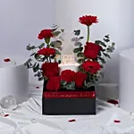 Evermore Rose & Love led Enchantment