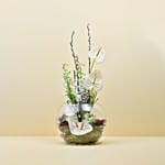 باقة ورد أنثوريوم أ[يض في فازة جميلة