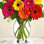 Heavenly Multicoloured Gerberas In Glass Vase