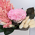 Preserved Pink Radiance | Forever Rose