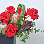 Radiant Roses and Anthurium