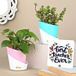 Combo of Jade & Money Plants with Table Top