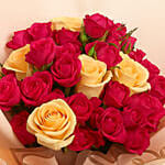Moments in Roses Bloom
