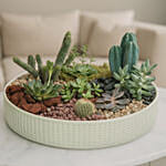 Cactus & Echevieria Plant Big Green Tray
