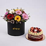 Mixed Color Gerberas Flower Box with Cake