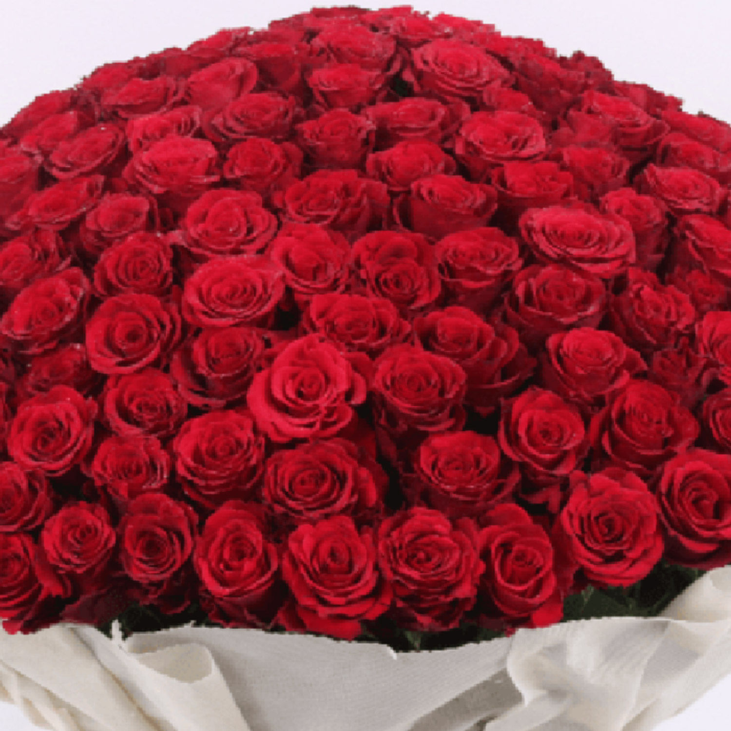 أون لاين 500 Red Roses Bouquet توصيل هدايا في Qatar - FNP