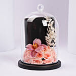 Cerruti 1881 Butterfly Crystals Bracelet For Her