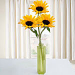 Sunny Sunflower Surprise