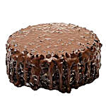 Chocolate Forest 2 Kg