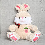Cuddly Rabbit Soft Toy