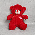 Cuddly Red Teddy Bear